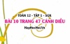 Bài 10 trang 47 Toán 12 tập 1 Cánh Diều